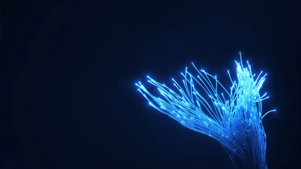 fiber.jpg