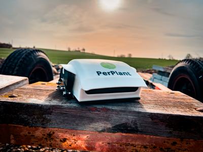 Precision Weed Detection for Sustainable Arable Farming