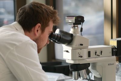 Accelerating Structure-Guided Drug Development via a Hybrid Generative AI Model for de Novo Protein Structure Prediction Integrating Experimental Cryoem Data