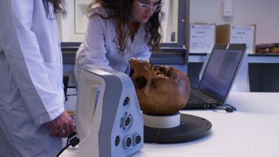 Photorealistic and Multimodal Craniofacial Reconstruction for Forensic Human Identification