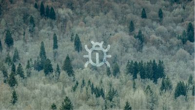 HPC-Accelerated Deep Learning for Early Bark Beetle Outbreak Detection