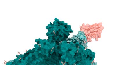 A Hybrid AI-Model for Resolving Molecular Structures Integrating Sequence and Cryo-Electron Microscopy Data